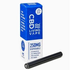 Premium Vape Product Boxes – UK Made & Delivered