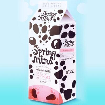 Custom Milk Cartons - Cardboard Boxes for Sale - Image 2